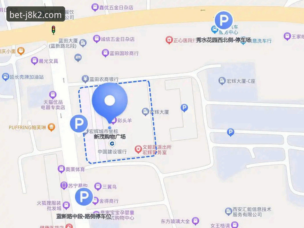 新2VIP服务对比 新2VIP服务对比完整指南:如何选择最适合你的专属投注方案
